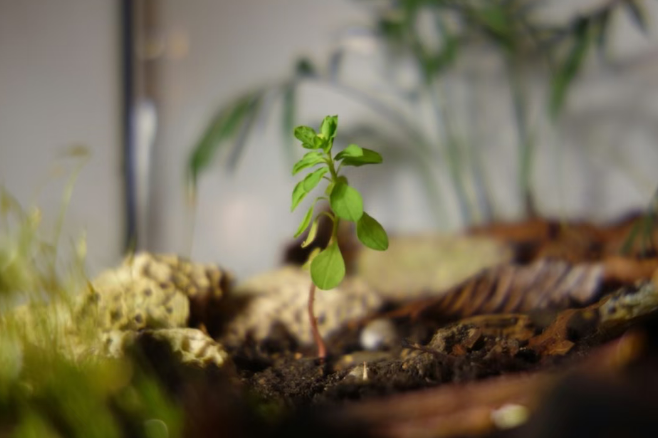 PCR消费后塑料认证对废弃塑料回收原料追溯标准要求